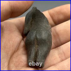 Ancient Near Eastern Ghandara Central Asian Buddah Half Stone Body