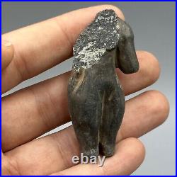 Ancient Near Eastern Ghandara Central Asian Buddah Half Stone Body