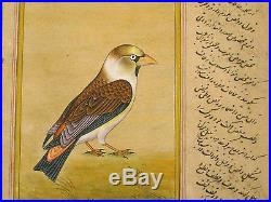 Indo-Persian Painting on Manuscript Picture of Bird