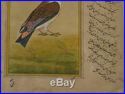 Indo-Persian Painting on Manuscript Picture of Bird