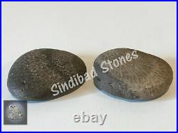 Rohani viper snake stones 2, 2