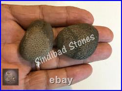 Rohani viper snake stones 2, 2