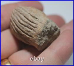 Zurqieh -as29509- Ancient Phoenician. Terracotta Head. 8th-6th Cent. B. C